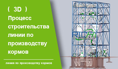 Процесс Строительства Линии По Производству Кормов(3D)